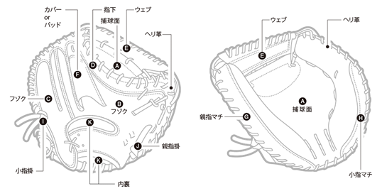 ノーマルバンド