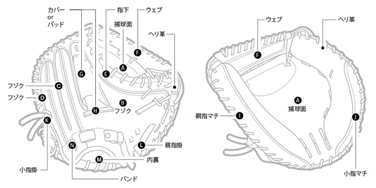 ノーマルバンド