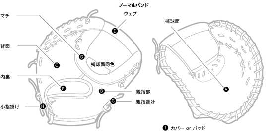 ノーマルバンド