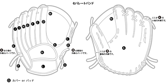 セパレートバンド