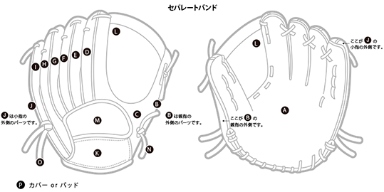 セパレートバンド