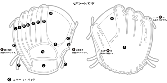 セパレートバンド