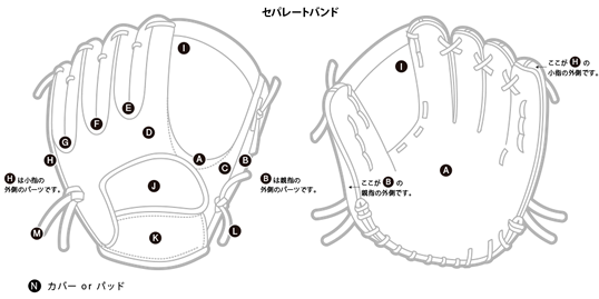 セパレートバンド